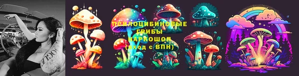 мдпв Нягань