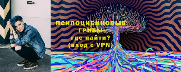 мдпв Нягань