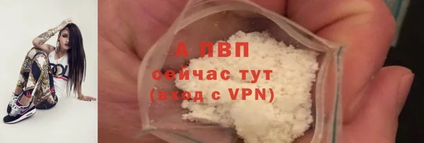 дмт Вяземский